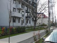 Imagine atasata: City of Mara - 2019.03.25 - 05.jpg